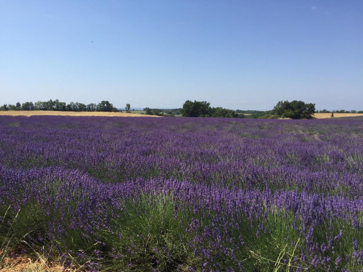 B&B En Provence- Villa Saint Marc フォルカルキエ エクステリア 写真