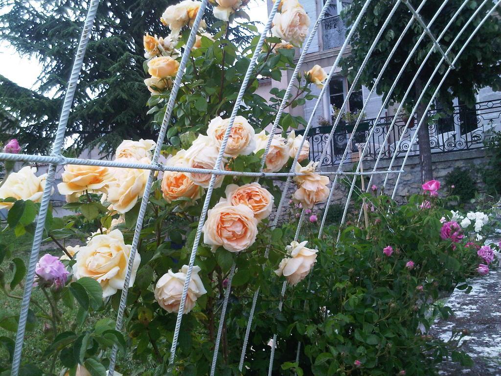 B&B En Provence- Villa Saint Marc フォルカルキエ エクステリア 写真